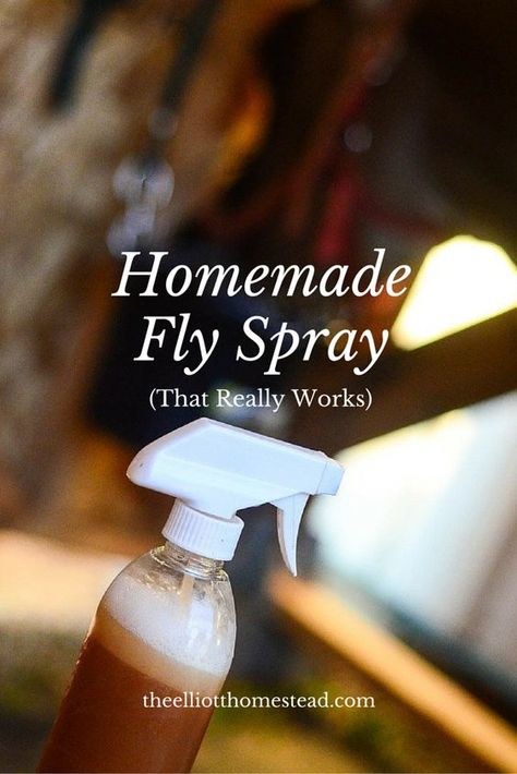 Homemade Fly Spray, Fly Spray For Horses, Fly Spray, Insect Spray, Coop Ideas, Fly Repellant, Horse Fly, Bug Repellent, Essential Oils Rosemary