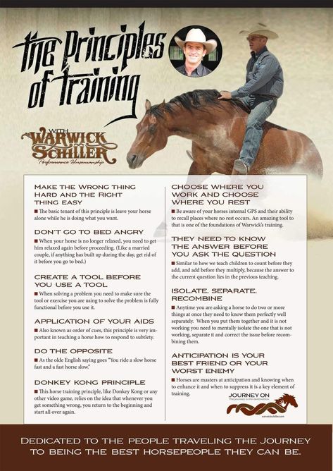 Warwick Schiller, Horse Items, Endurance Riding, Horse Training Exercises, Horse Farm Ideas, Pole Bending, Horseback Riding Tips, Horse Braiding, Horse Lessons