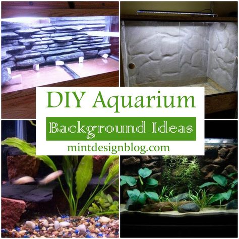 Fish Tank Background Diy, Fish Tank Background Ideas, Fish Tank Background Wallpapers, Aquarium Backgrounds Wallpapers, Aquarium Background Diy, Aquarium Background Ideas, Diy Fish Tank Decorations, Aquarium Decorations Diy, Diy Aquarium Background