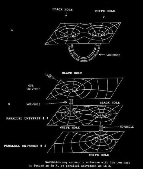 Time Travel Theories, Astronomy Physics, Astronomy Facts, Theoretical Physics, Astronomy Science, Cool Science Facts, Space Facts, Physics And Mathematics, 카드 디자인