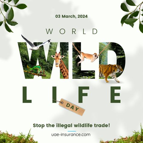 #uaeinsurance #uae #wildLife #animals #animallove #earth #Life World Wildlife Day, Bee Conservation, Wildlife Protection, Wildlife Day, Life Day, Marketing Business Card, Incredible Creatures, Wildlife Habitat, Pet Day