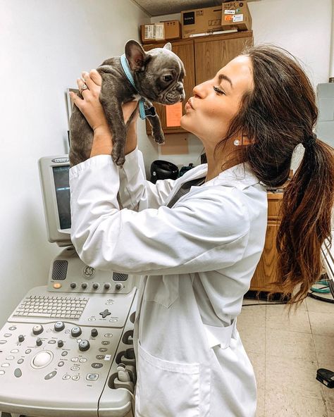 Vet Nurse Aesthetic, Animal Science Major, Animal Jobs, Vet Pictures, Vet School Motivation, Future Veterinarian, Vet Tech School, Vet Life, Large Animal Vet