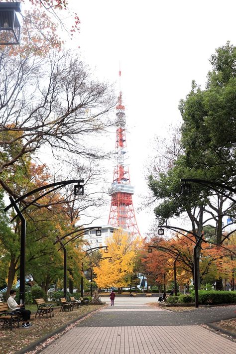 The embers of autumn in Tokyo Tokyo Autumn, Tokyo Photos, Tokyo Japan Travel, Tokyo Tower, Tokyo Travel, Tokyo 2020, Autumn Scenery, Tokyo Japan, Photo Session