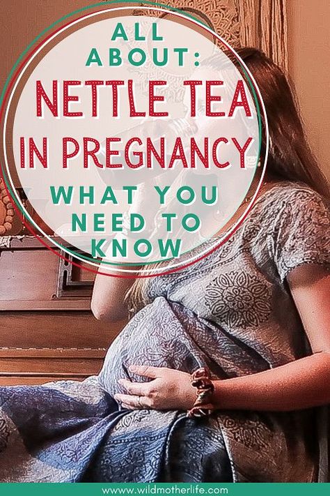 Stinging Nettle Tea Benefits, Nettle Leaf Tea Benefits, Postpartum Herbs, Nettle Leaf Benefits, Rasberry Leaf Tea, Herbs For Pregnancy, Pregnancy Safe Tea, Tea For Pregnancy, Nettle Tea Benefits