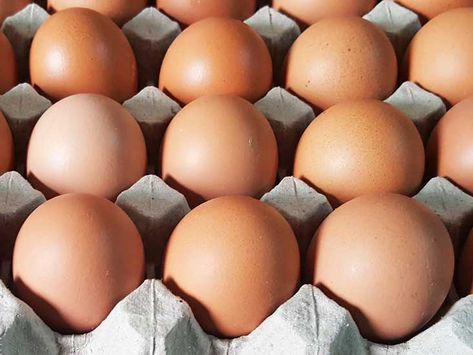 5 Simple Ways to Tell If an Egg Is Good or Bad Sink Or Float, Food Prep Storage, Eggs For Sale, Bad Eggs, Tea Health Benefits, Clean Plates, Storage Tips, Fried Eggs, Food Articles