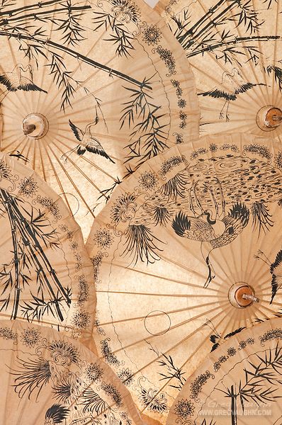 Japanese Umbrella, Chinese Aesthetic, Paper Umbrellas, Art Japonais, Bhutan, Chinese Culture, Chiang Mai, Chinese Art, Urban Art