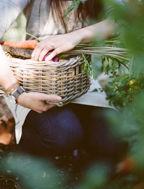 remain simple. Nicole Bloom, Laura Barton, Picking Vegetables, A Well Traveled Woman, Genetically Modified Food, Garden Layout Vegetable, Garden Harvest, Garden Photography, Garden Layout