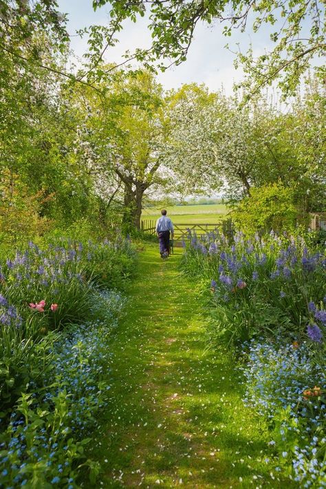 April 2024 — Monty Don Rewilding Garden Uk, Monty Don Longmeadow, Longmeadow Garden, Country House Garden, Garden Winter, Monty Don, Evergreen Plants, Woodland Garden, Gorgeous Gardens