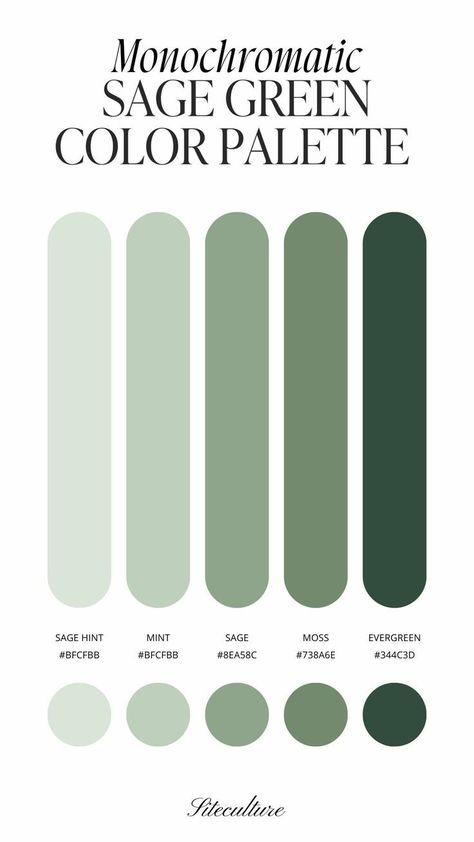 In this post, we'll explore five unique sage green color palettes that will inspire your next design project. Green Color Palettes, Sage Color Palette, Pixel City, Sage Green Color, Green Colour Palette, Notion Template, Sage Color, Academia Aesthetic, Aesthetic Vintage