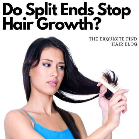 Do Split Ends Stop Hair Growth? How can I self-diagnose split ends? How do I treat them? Hydration, regular haircuts, using less heat to start... https://theexquisitefind.com/what-are-split-ends-can-i-get-rid-of-them-tips-from-a-professional/ Hair Education, Stop Hair Breakage, Hair Blog, Hair Breakage, Natural Hair Growth, Treated Hair, Split Ends, How Can, Hair Growth