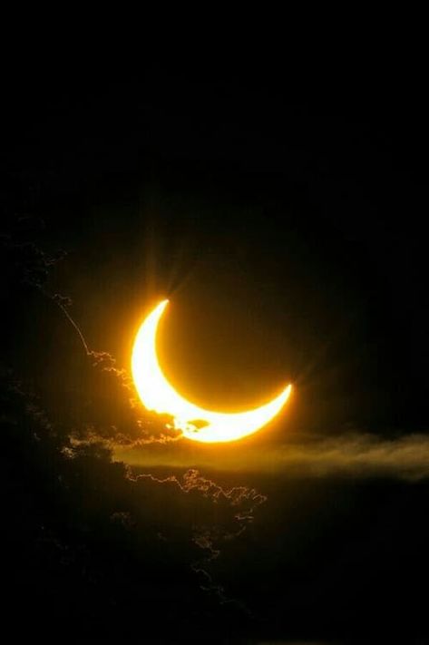 Gold crescent moon | Black and gold | Lunar aesthetic Black And Gold Aesthetic, Yellow Moon, Moon Moon, Moon Photography, Gold Aesthetic, Beautiful Moon, Yellow Aesthetic, Dark Yellow, Solar Eclipse