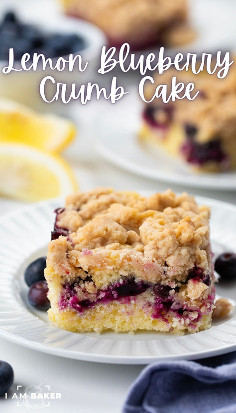 Blueberry Lemon Crumb Cake is a soft, moist cake loaded with fresh blueberries and lemon flavor with a thick streusel topping. This is a specific type of coffee cake, also called a Streuselkuchen, known for its extra thick buttery crumb topping. Blueberry Crumb Cake Recipe, Lemon Crumb Cake, Blueberry Crumb Cake, Recipe Using Sourdough Starter, Crumb Cake Recipe, Sourdough Starter Discard Recipe, Blueberry Coffee Cake, Homemade Sourdough Bread, Sourdough Starter Recipe