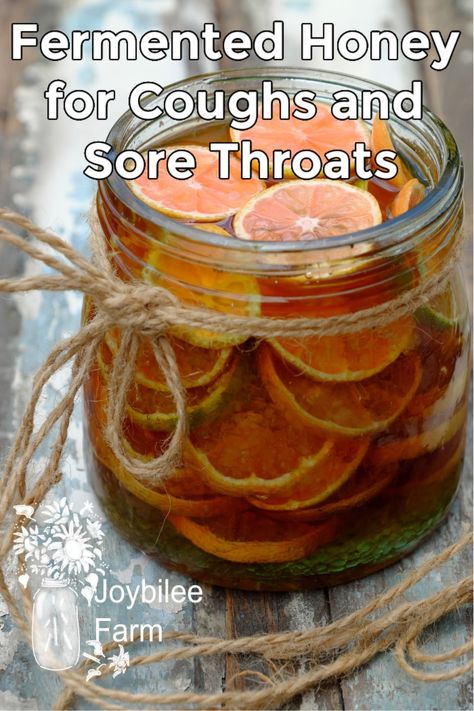 Honey For Cough, Fermented Honey, Fermentation Recipes, Cold Sores Remedies, Herbal Recipes, Natural Healing Remedies, Natural Antibiotics, Herbal Healing, Natural Cough Remedies