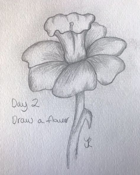 30 Day Drawing Challenge Day 2 - Daffodil  on We Heart It #drawing #challenge #pencil #sketch #beginner #hobby #art #flowers #floral #spring #daffodil Drawing Daffodils, Daffodil Flower Drawing, Daffodils Drawing, Sketch Beginner, Daffodil Drawing, Floral Drawings, Drawing Heart, Spring Drawing, Easy Flower Drawings