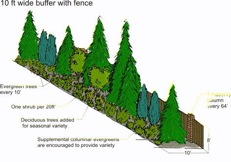 Chapter 22C.120 LANDSCAPING AND SCREENING Fence Line Landscaping Ideas, Landscaping Elements, Privacy Landscaping Backyard, Evergreen Landscape, Fence Installation, Landscaping Trees, Privacy Plants, Privacy Landscaping, Landscape Inspiration