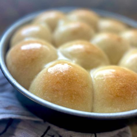 Sourdough Dinner Rolls - Amy Bakes Bread Sourdough Starter Dinner Rolls, Sourdough Dinner Rolls Recipe, Sourdough Roll Recipe, Fast Sourdough Rolls, Overnight Sourdough Dinner Rolls, Amy Bakes Bread Sourdough, Sourdough Discharge Recipes, Sourdough Buns Dinner Rolls, Sourdough Rolls Recipe