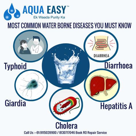 you should know the Waterborne Disease actually are so that you can know about it and then, we will discuss some precautions to stay prevented from this. One more thing, you must have RO purifier to prevent this disease and for a reliable purifier, visit RO Water Purifier repair and service. Ro Purifier, Ro Water Purifier, Water Pollution, Water Resources, Disease Prevention, The Who, Water Purifier, Water Bear, Pollution