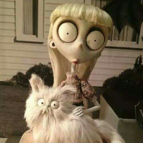 Weird Girl, Tim Burton, A Cat, White