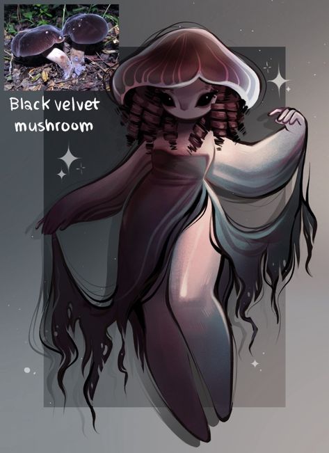 feef Feefal Art, Mushroom Ideas, Fictional Disease Art, Mushroom Girl, Mushroom Drawing, Fantasy Creatures Art, Cute Doodle Art, Mushroom Art, Creature Concept Art