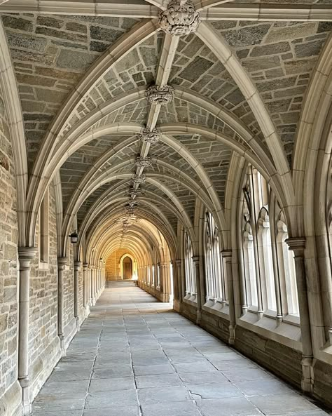 A long outdoor corridor with brown brick and cement arches Prinston University Aesthetic, Prinston University, Princeton University Dorms, Princeton Aesthetic, Princeton University Aesthetic, University Auditorium, Princeton Campus, Princeton University Campus, Academic Aesthetic