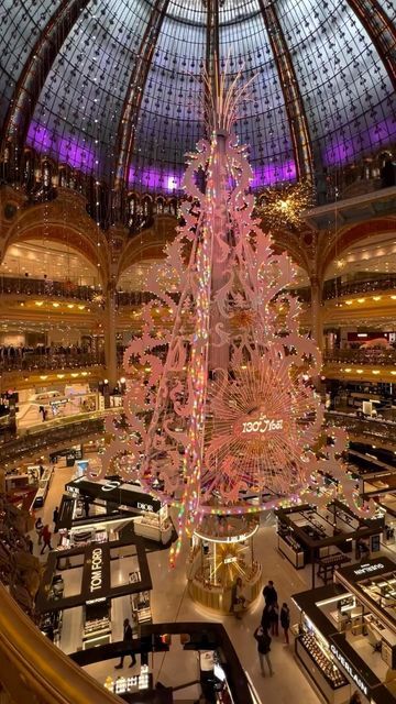 ChampsElysees_Paris on Instagram: "Galeries Lafayette Haussmann Le sapin de noël 2024 2024 Christmas tree  Crédit Photo: @florianm.75  Follow us on IG: @champselysees_paris www.champselysees-paris.com  © Paris, Always an Amazing idea!  #paris #igersparis #galerieslafayette #galerieslafayettehaussmann #sapindenoel #christmastree #christmasdescorations #decorationsdenoel" Lafayette Paris, 2024 Christmas, Galeries Lafayette, West Africa, Follow Us, Christmas Tree, Paris, Christmas, On Instagram