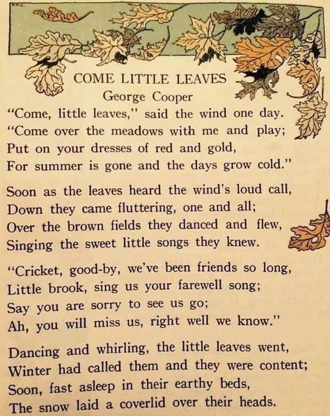 George Cooper, Autumn Poetry, Autumn Poems, Fall Cards Handmade, Childrens Poetry, Fall Lessons, Commonplace Book, Autumn Quotes, Daughter Quotes