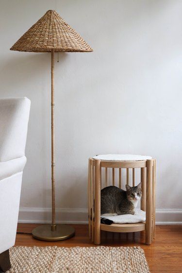 Boho Cat Room, Room Fall Aesthetic, Bed And Side Table, Stylish Cat Tower, Diy Cat Tower, Ikea Side Table, Diy Cat Bed, Pet Room, Diy Luxury