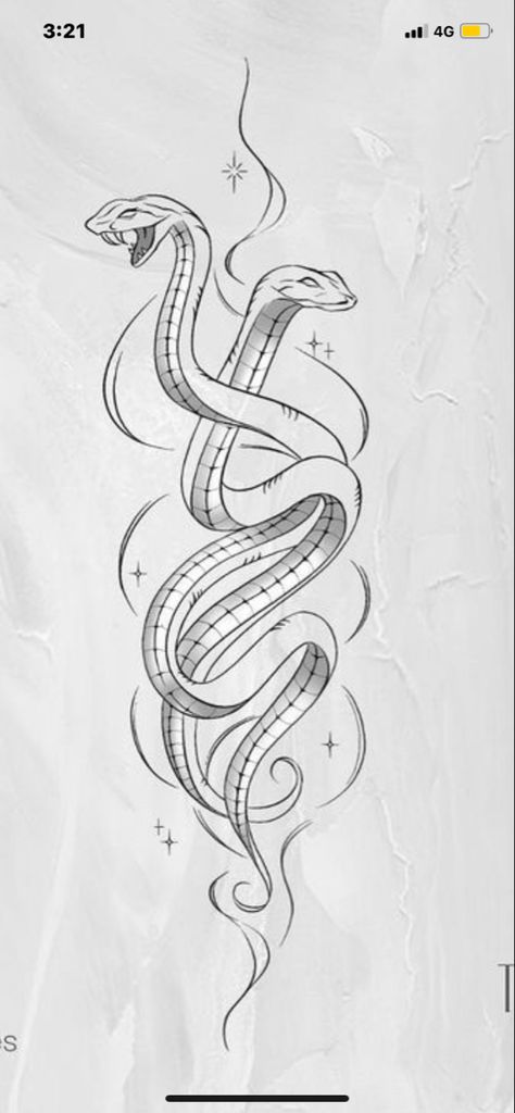 Double Snake Tattoo Back, Double Headed Snake Drawing, Two Snakes Drawing, Hissing Snake Tattoo, Double Head Snake Tattoo, Intertwined Snake Tattoo, Two Snakes Intertwined Tattoo, Twin Snake Tattoo, Double Snake Tattoo