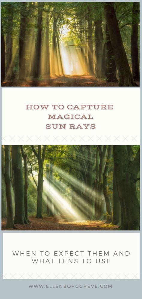 How to capture magical sun rays. Sun rays make every forest scene looks enchanted and magical. How to photograph these heavenly sunbeams, when to capture them, what lens to use and what conditions to look out for... Sunlight Photography, Creative Advertising Photography, Photo Lessons, Photography Settings, Photography Cheat Sheets, Sun Flare, How To Photograph, Photography Basics, Light Rays