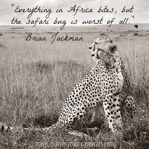 Safari Scrapbook Layouts, Tribe Photography, Africa Quotes, Africa Tribes, All About Africa, African Quotes, Travel Phrases, Africa People, Africa Photography