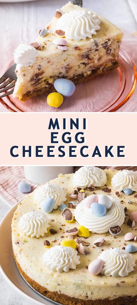 Easter Egg Cheesecake, Mini Egg Cheesecake, Cheesecake Easter, Bunny Cakes, Desserts Cheesecake, Easter Cheesecake, No Egg Desserts, Cadbury Eggs, Desserts Ideas