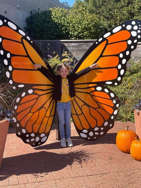 Giant Magnifying Glass Prop Diy, Giant Butterfly, Selfie Wall, School Wall Art, Butterfly Photos, Wall Drawing, Diy Crafts Paper Flowers, Butterfly Garden, A Butterfly