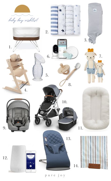 Boy Wishlist, List Of Things To Buy For New Born Baby, Newborn Car Seat And Stroller, List Of Baby Items Needed New Moms, Nuna Stroller Bassinet, Boy Stroller, Halo Bassinet, Baby Wish, Ollie Swaddle