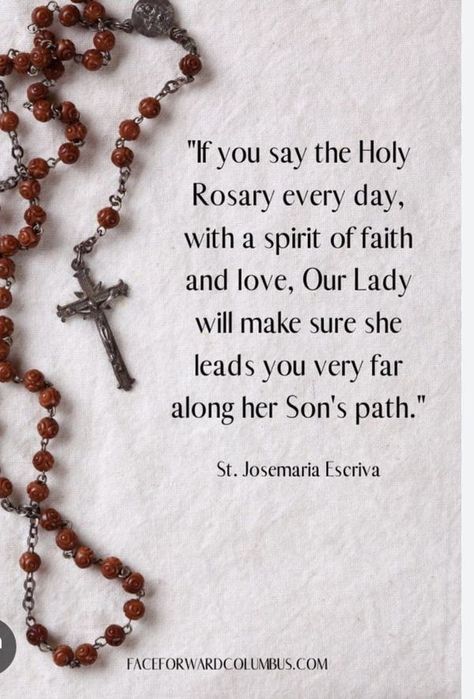 I PRAY MY ROSARY DAILY | Facebook Daily Rosary, Holy Rosary, I Pray, Our Lady, Rosary, Vision Board