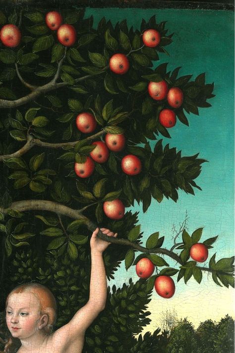 «Adam and Eve» by Lucas Cranach the Elder | 1472–1553 Garden Of Eve, Cranach The Elder, Lucas Cranach, English Projects, Apple Painting, Rennaissance Art, Future Ideas, A Level Art, Garden Of Eden