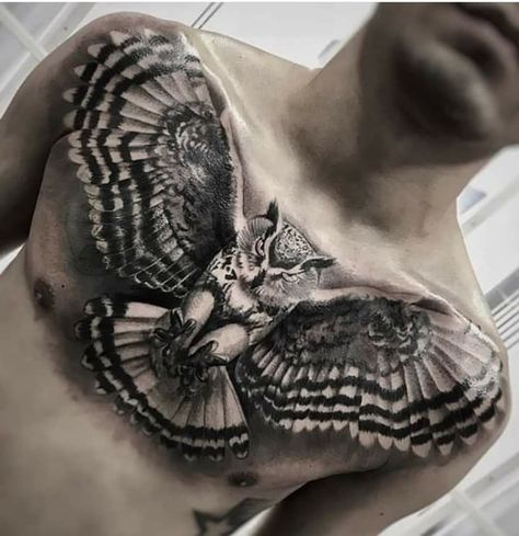 Owl Chest Tattoo Men Design, Owl Chest Piece Tattoo, Owl Chest Tattoo Men, Owl Tattoo Back, Chest Tattoo Wings, Tato Realis, Owl Tattoo Chest, Realistic Owl Tattoo, Chest Tattoo Drawings