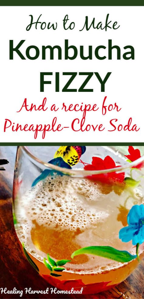 Fermented soda, also called kombucha, is rich in pro-biotics, super healthy, and absolutely delicious! Find out how to do a second ferment which causes extreme carbonation if done correctly—make your own natural soda! I’m including my best recipe for a pineapple and clove kombucha that is out of this world! How to ferment kombucha, step by step. #ferment #kombucha #recipe #directions #pineapple #secondferment #fizzy #carbonate #naturalsoda #healthydrink #healthysoda #healingharvesthomestead Fermented Soda, Water Remedies, Pineapple Kombucha, Kombucha Flavors Recipes, Soda Substitute, Pro Biotics, Natural Soda, Kombucha Recipes, Kombucha Brewing