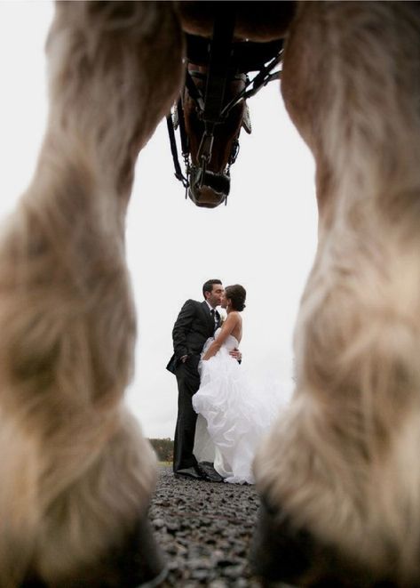 Horse Wedding Photos, Equestrian Wedding, Foto Cowgirl, Pictures With Horses, Horse Wedding, Photographs Ideas, Foto Tips, Fun Wedding Photography, Wedding Engagement Photos