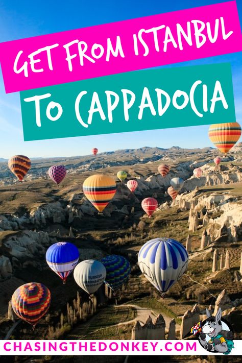 Istanbul Guide, Traveling Teacher, Best Turkey, Cappadocia Turkey, Travel Oklahoma, Istanbul Travel, Croatia Travel, Turkey Travel, The Donkey