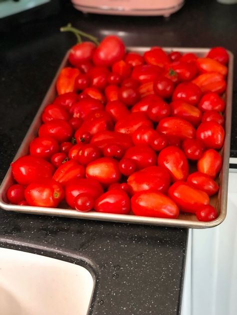 Easiest way to freeze Tomatoes - Tomatoes For Canning, Freezing Tomatoes, Food Preservation, Fresh Tomatoes, Preserving Food, Marinara, Tomato Sauce, Tomatoes, Frozen