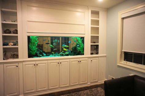 Aquariums - Aqua Creations Build A Tv Stand, Fish Tank Wall, Aquarium Pictures, Custom Aquarium, Wall Aquarium, Fish Tank Stand, Fish Tank Design, Built In Shelves Living Room, Fishing Room