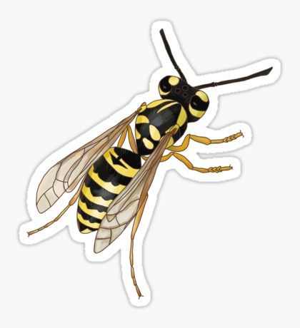 Yellow Jacket Drawing, Wasp Drawing, Jacket Drawing, Painting Realistic, Drawing Digital, Yellow Jacket, Wasp, Hornet, Digital Painting