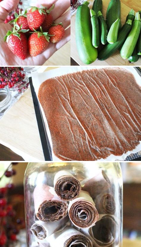 Homemade fruit leather is an easy way to give your family a healthy snack, and even sneak in some veggies too! Find out how to make this delicious fruit leather with a bunch of zucchini and just a few strawberries! #Recipes #FromScratchRecipes #Dehydrator #FruitLeather Watermelon Fruit Leather Recipes Dehydrator, Applesauce Fruit Leather Recipe Dehydrator, Diy Fruit Roll Ups Dehydrator, Homemade Fruit Roll Ups Dehydrator, Fruit Leather Recipe Dehydrator, Homemade Fruit Leather, Fruit Leather Recipe, Hidden Vegetables, Fruit Leather