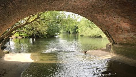 Showcasing the best images sent to us from around England. Under A Bridge, Under Bridge, England Countryside, River Flowing, England Photography, Under The Bridge, Color Meanings, Story Board, Creative Pictures