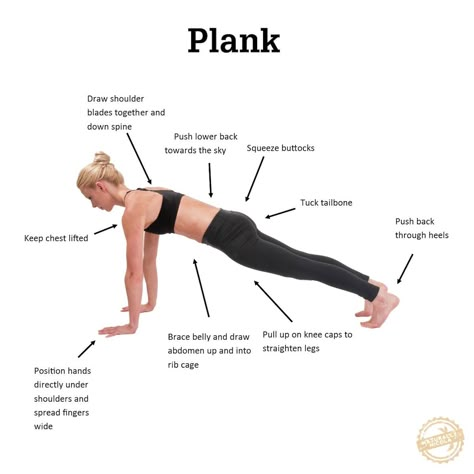 Yoga Cues, Core Conditioning, Yoga Alignment, Plank Exercise, Yoga Core, Yoga Teaching, Plank Pose, Yoga World, Yoga And Pilates