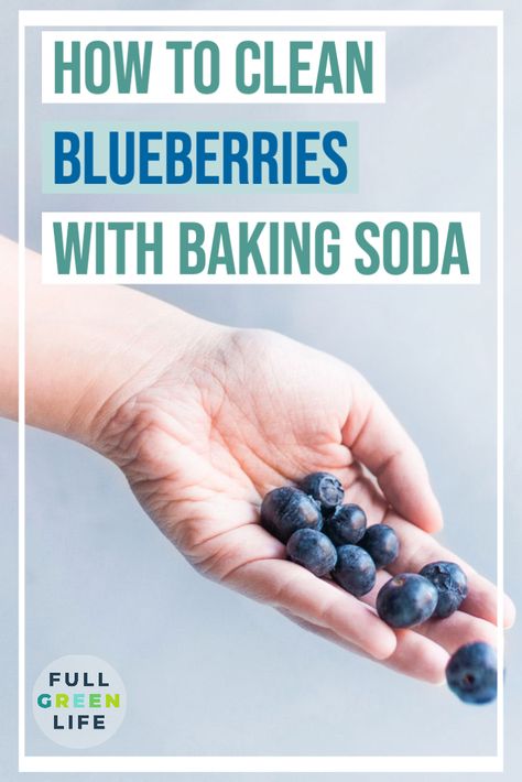 Wash Blueberries, Cleaning Blueberries, How To Clean Berries Baking Soda, Clean Blueberries, How To Wash Blueberries, How To Clean Blueberries, Cleaning Fruit With Baking Soda, Blueberry Video, How To Clean Strawberries