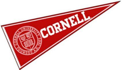 College Banners, Harvard University Campus, Pennant Template, College Banner, College Pennants, College Flags, Dream College, Graduation Banner, Felt Pennants