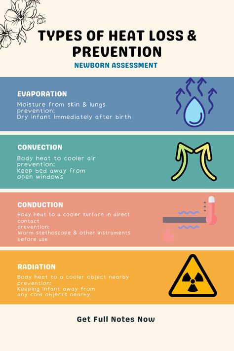 Types of Heat Loss and Prevention Essential Information You Need to Know Newborn Assessment, Conduction Convection Radiation, Nurse Teaching, Ems Training, Integumentary System, Happier Life, Eating Tips, Outdoor Enthusiast, Open Window