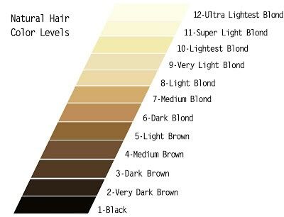 Hair Color Scale, Levels Of Hair Color, Wella Color Charm Toner, Honey Brown Hair Color, Brown Hair Color Chart, Wella Toner, Hair Levels, Wella Color Charm, Honey Brown Hair