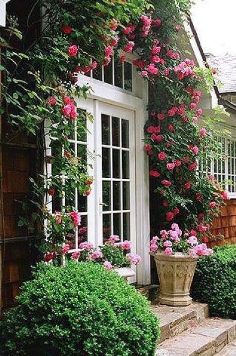 Rose Garden Design, Design Garden, Climbing Roses, Rose Cottage, Garden Cottage, Country Gardening, Landscape Architect, Rose Garden, Dream Garden